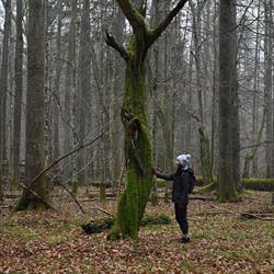 Biuro Dzikie Podlasie - Turystyka Przyrodnicza Monika Żłobin-Kozak