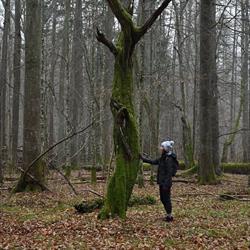 Biuro Dzikie Podlasie - Turystyka Przyrodnicza Monika Żłobin-Kozak