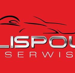 LISPOL Serwis sp z o.o.
