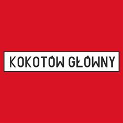 Kokotów Główny Stacja Kontroli Pojazdów