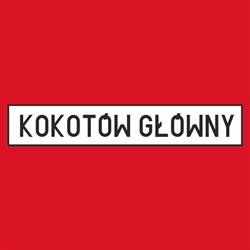 Kokotów Główny Stacja Kontroli Pojazdów