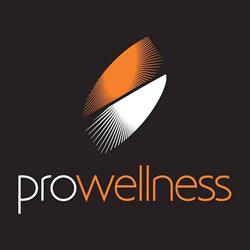 Pro-Wellness - jacuzzi Hot Spring, baseny z przeciwprądem, fotele masujące