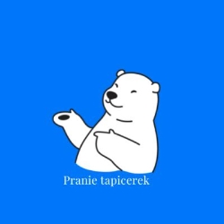 Pranie tapicerki biały miś