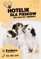 Hotelik dla piesków ras małych i średnich