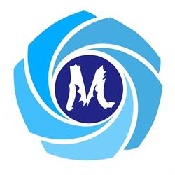 Kurs Masażu Łódź Akademia Masażu Mój Masażysta