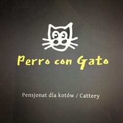Perro con Gato - pensjonat dla kotów