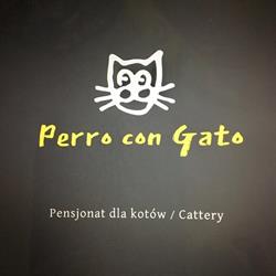 Perro con Gato - pensjonat dla kotów