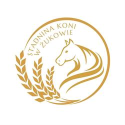 Stajnia Żukowo / pensjonat dla koni
