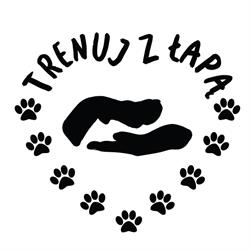 Trenuj z Łapą - Crazy Zoo