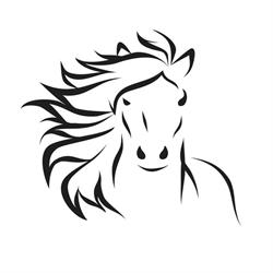 Hair Monster
