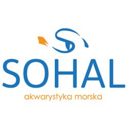 Sohal Akwarystyka Morska
