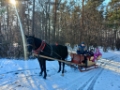 Kulig zima