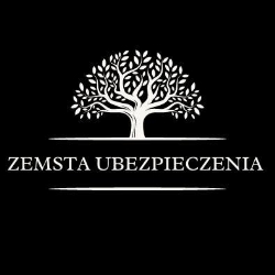 Zemsta Ubezpieczenia Rejestracja Pojazdów