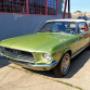 Mustang