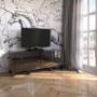RTV Grafit