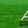Logo Tło