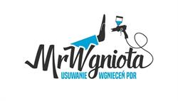 Mr Wgniota Usuwanie Wgnieceń Bez Lakierowania PDR