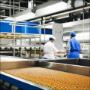 BW Food Consulting 3