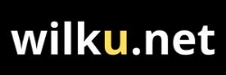 Patryk Wolf SEO & Web Design - wilku.net