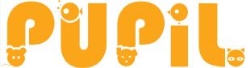 Czasopismo PUPIL