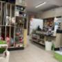 Sklep zoologiczny Józefosław Piaseczno Mysiadło wnętrze