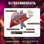 Ultrasonografia w Klinice dr Kuśmierczyk