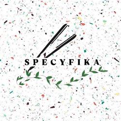 Strefa odbudowy włosów Specyfika - Klaudia Adamczyk