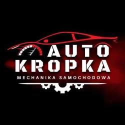 Auto Serwis Kropka - warsztat samochodowy Łódź