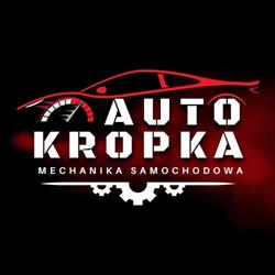 Auto Serwis Kropka - warsztat samochodowy Łódź