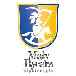 Hipoterapia Mały Rycerz Amadeusz Heba