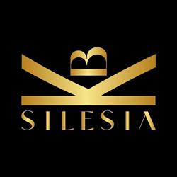 Silesia Capital - Eksperci Kredytowi