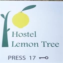 Lemon Tree Hostel