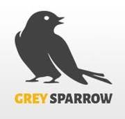 Grey Sparrow Filip Lendzion