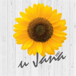 ZAJAZD U JANA