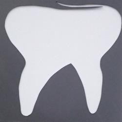Dental Expert