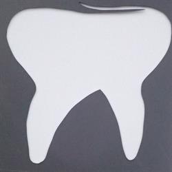 Dental Expert