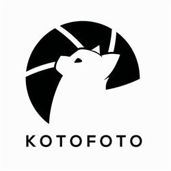 Koto Piotr Kochanowski