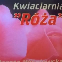 Kwiaciarnia Róża