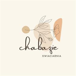 chabazie