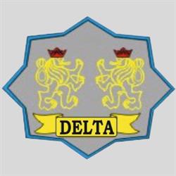 Delta Drawsko Ochrona Osób i Mienia