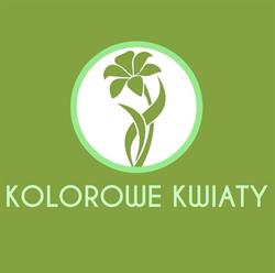Kolorowe Kwiaty Paweł Kubik