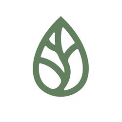 Vena Clinic