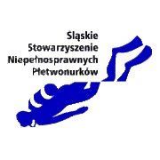 Śląskie Stowarzyszenie Niepełnosprawnych Płetwonurków
