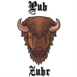 Pub Żubr