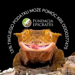 FUNDACJA "EPICRATES"