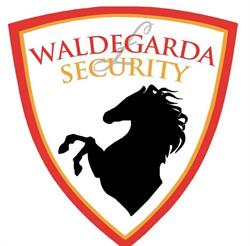 Agencja Ochrony Osób i Mienia ' Waldegarda '