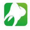 NASZ DENTYSTA