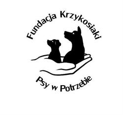Fundacja Krzykosiaki Psy W Potrzebie