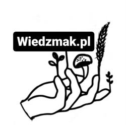 WiedźMak - vegetarian magic - bistro i catering - jedzenie na dowóz