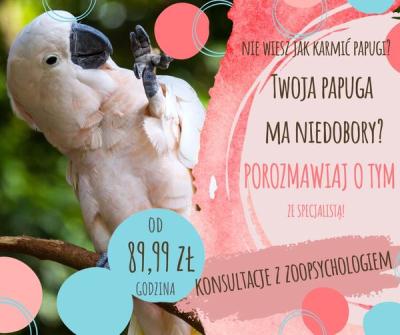 Zoologiczny